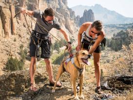 Ruffwear Doubleback™ Trekking Bergsteiger Hundegeschirr Gr. S 7