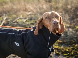 Back on Track Bark Allround Winter-Hundemantel schwarz 7