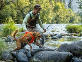 Ruffwear Web Master™ Hundegeschirr 2.0 Blaze Orange XS 7