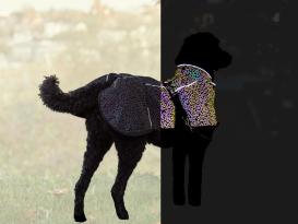 Limoux Reflect voll reflektierender Hundemantel 7