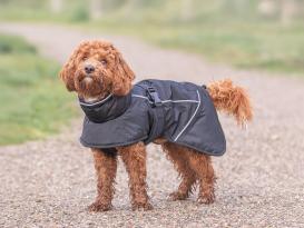 Hunde-Wintermantel Brizon schwarz 7