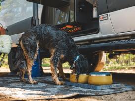 Ruffwear Basecamp Edelstahlnapf Cattail Tan 7