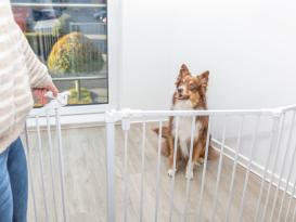 Hunde-Absperrgitter mit Tür zur Wandmontage 7