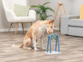 Dog Activity Turn Around Strategiespiel für Hunde 7