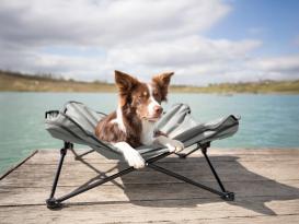 Campingbett für Hunde 7