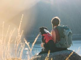 Ruffwear Web Master™ Hundegeschirr 2.0 Red Canyon XS 7