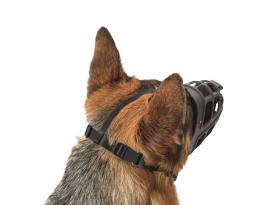 Hunter Maulkorb Albury 7