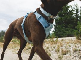 Ruffwear Front Range Flex Hundegeschirr Polar Blue XXS 7