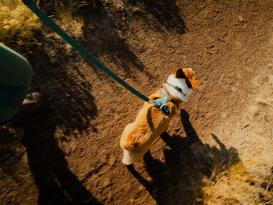 Ruffwear Front Range Flex Hundeleine Basalt Gray 7