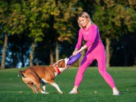 Puller Dog Fitness Tool interaktives Hundespielzeug 7