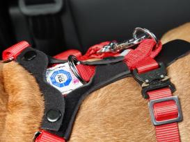 Kleinmetall Allsafe® Comfort Hunde Sicherheitsgurt TÜV geprüft -L- 7