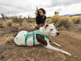 Ruffwear® Flagline™ 2.0 Hundegeschirr Sage Green M 7