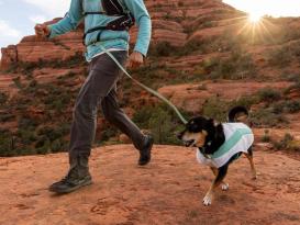 Ruffwear Swamp Cooler Kühlweste für Hunde Sage Green XXS 7