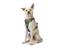 Hunter Hundegeschirr Divo grün/grau S 7