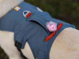 Ruffwear Web Master™ Hundegeschirr Slate Blue XXS 7