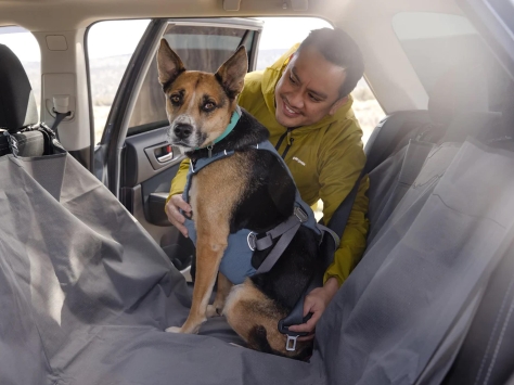 Ruffwear Load Up 2.0 Auto-Sicherheitsgeschirr für Hunde slate blue