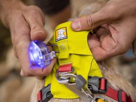Ruffwear The Beacon™ Sicherheitslicht für Hunde