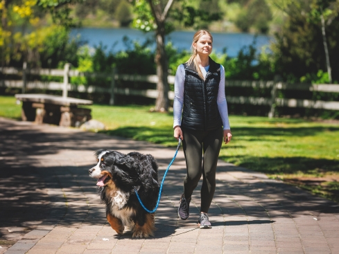 Ruffwear Just-a-Cinch™ Retrieverleine Blue Pool