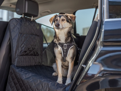 Auto-Schondecke für die Rückbank
