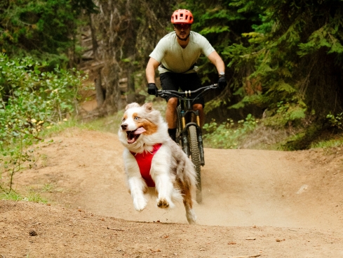 Ruffwear Front Range Flex Hundegeschirr Rose Violet