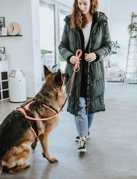 Hunter Sicherheitsgeschirr Maldon orange/grau XS 8