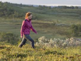 Pinewood® Abisko/Brenton Hundesport Damenhose urban grey/dark anthracite 36 8