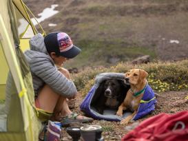 Ruffwear Highlands Sleeping Bag™ Hundeschlafsack Huckleberry Blue M (64 cm x 85 cm) 8