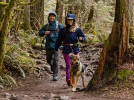 Ruffwear Sun Shower™ Regenmantel für Hunde Midnight Blue S 8