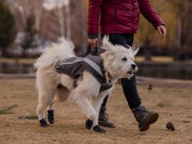 Ruffwear Lumenglow reflektierende Weste für Hunde Granite Gray 8