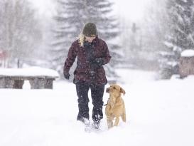 Pinewood® Dog Sports 2.0 Damen Jacke Earth Plum/Dark Anthrazit -S- 8