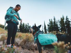 Ruffwear Front Range™ Hunderucksack 2.0 River Rock Green XS 8