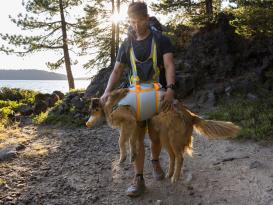 Ruffwear BackTrak™ Dog Evacuation Rettungsset für Hunde Medium 8