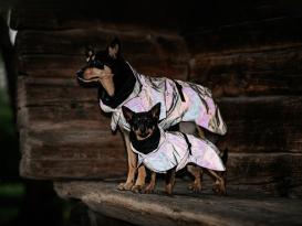 Paikka Visibility reflektierender Hunde-Regenmantel lite leo 40 8
