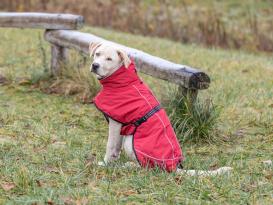 Hunde-Wintermantel Explore Thermo 8