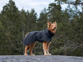 Paikka Visibility reflektierende Hunde-Winterjacke dark 8