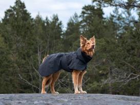 Paikka Visibility reflektierende Hunde-Winterjacke dark 25 8