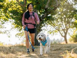 Ruffwear Swamp Cooler kühlendes Hundegeschirr Biolumin Blue L/XL 8