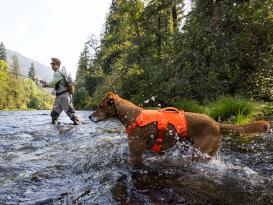 Ruffwear Web Master™ Hundegeschirr 2.0 Blaze Orange XS 8