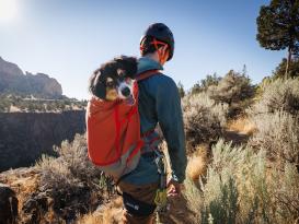 Ruffwear Hitch Hiker™ Tragerucksack für Hunde River Rock Green XXS 8