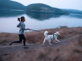 Ruffwear Front Range™ 3.0 Hundegeschirr Basalt Gray S 8