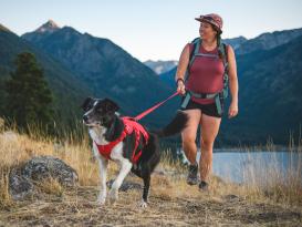 Ruffwear Web Master™ Hundegeschirr 2.0 Red Canyon XS 8