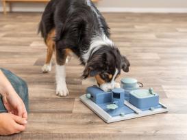 Dog Activity Poker Box 2 Hunde Intelligenzspiel 8