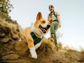 Ruffwear Front Range Flex Hundegeschirr Deep Teal XXS 8