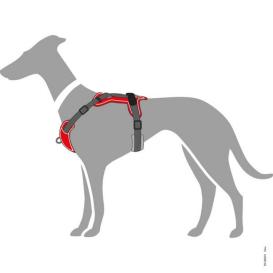 Hunter Hundegeschirr Divo rot/grau S-M 8