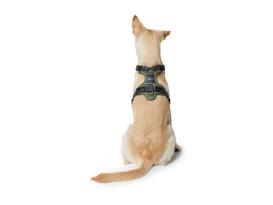 Hunter Hundegeschirr Divo grün/grau S 8