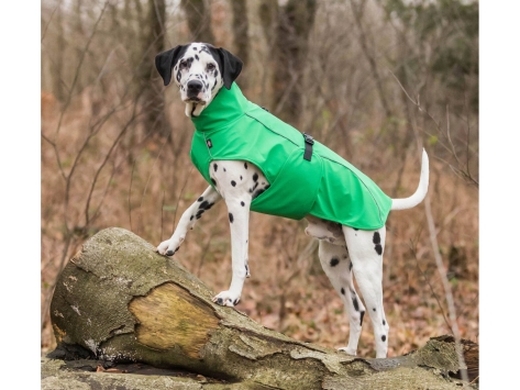Hundemantel Regenmantel Vimy grün