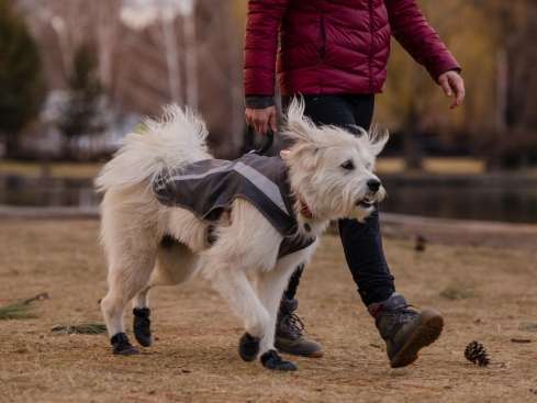 Ruffwear Lumenglow reflektierende Weste für Hunde Granite Gray