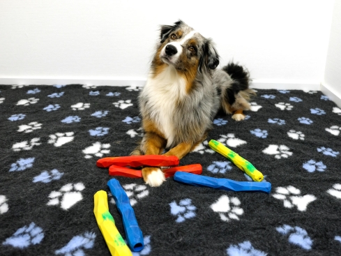Ruffwear Gnawt-a-Stick™ befüllbares Hundespielzeug