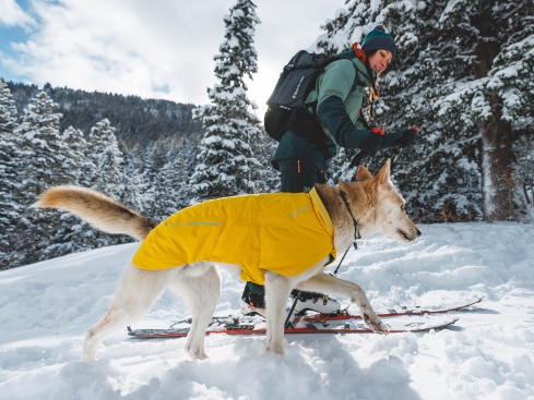 Ruffwear Vert Winter-Hundejacke Mineral Yellow