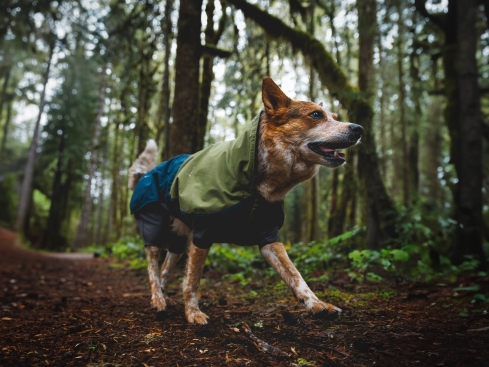 Ruffwear Sun Shower™ Coverall Regenschutz für Hunde Midnight Blue